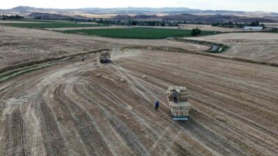 Yozgat, Türkiye’nin büyük tahıl üretim merkezlerinden biri olarak, hububat hasadının