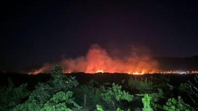 Hatay’ın Hassa ilçesi Sapanözü Mahallesi’nde yer alan otluk alanda bugün