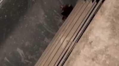 Gaziantep’te bulunan bir okulun havalandırma sisteminin kazanına düşen 2 yavru