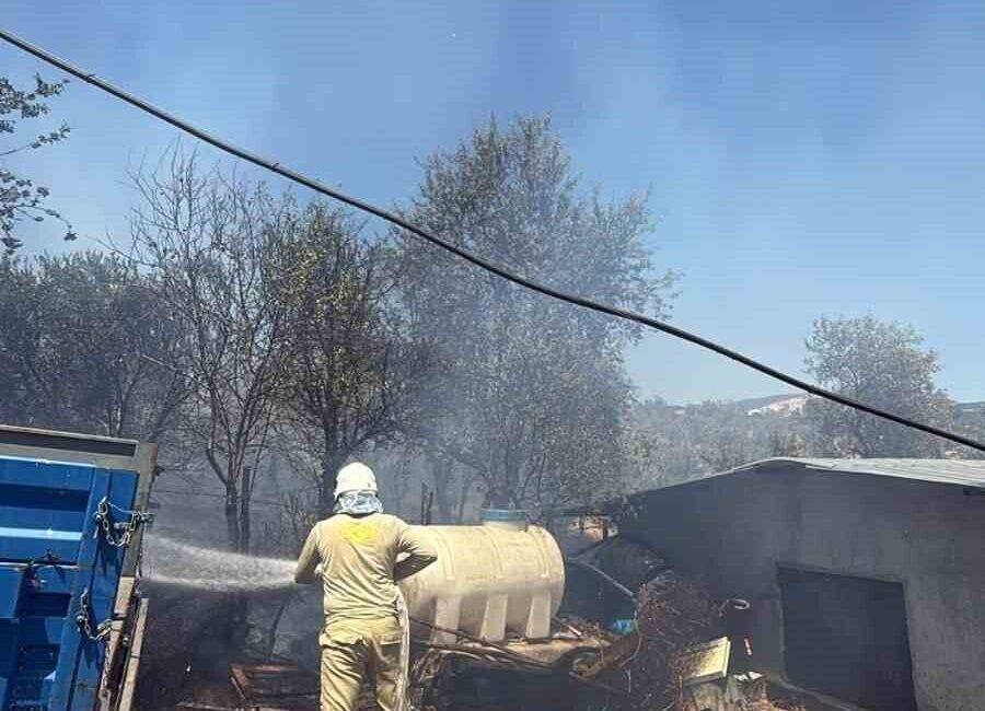 Havran ilçesine bağlı Fazlıca Mahallesi’nde orman dışında başlayan yangını kontrol
