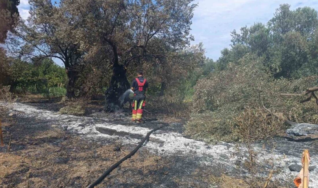 Balıkesir’in Havran ilçesinde çıkan yangın, hızlı ekiplerin müdahalesiyle kontrol altına
