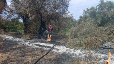 Balıkesir’in Havran ilçesinde çıkan yangın, hızlı ekiplerin müdahalesiyle kontrol altına