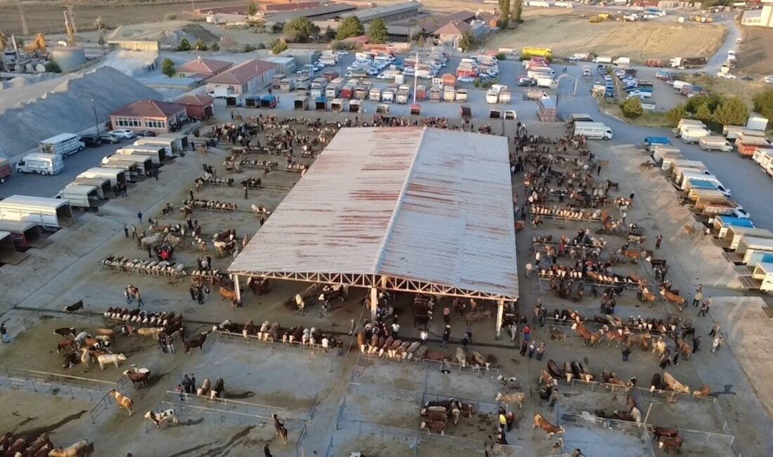 Sorgun ilçesinde kurulan hayvan pazarı, bölgedeki önemli ticaret merkezlerinden biri