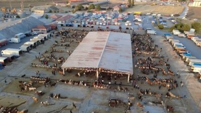 Sorgun ilçesinde kurulan hayvan pazarı, bölgedeki önemli ticaret merkezlerinden biri