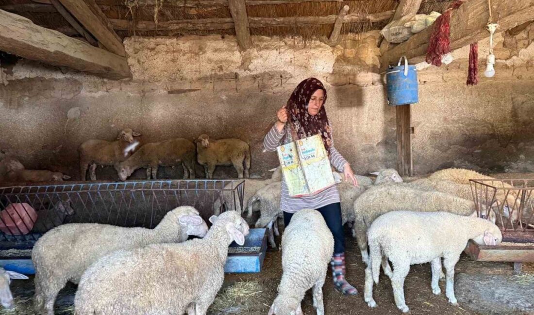 Eskişehir’de hayvanlarına büyü yapıldığı iddiasıyla Yalçın Namal tarafından saldırıya uğrayarak