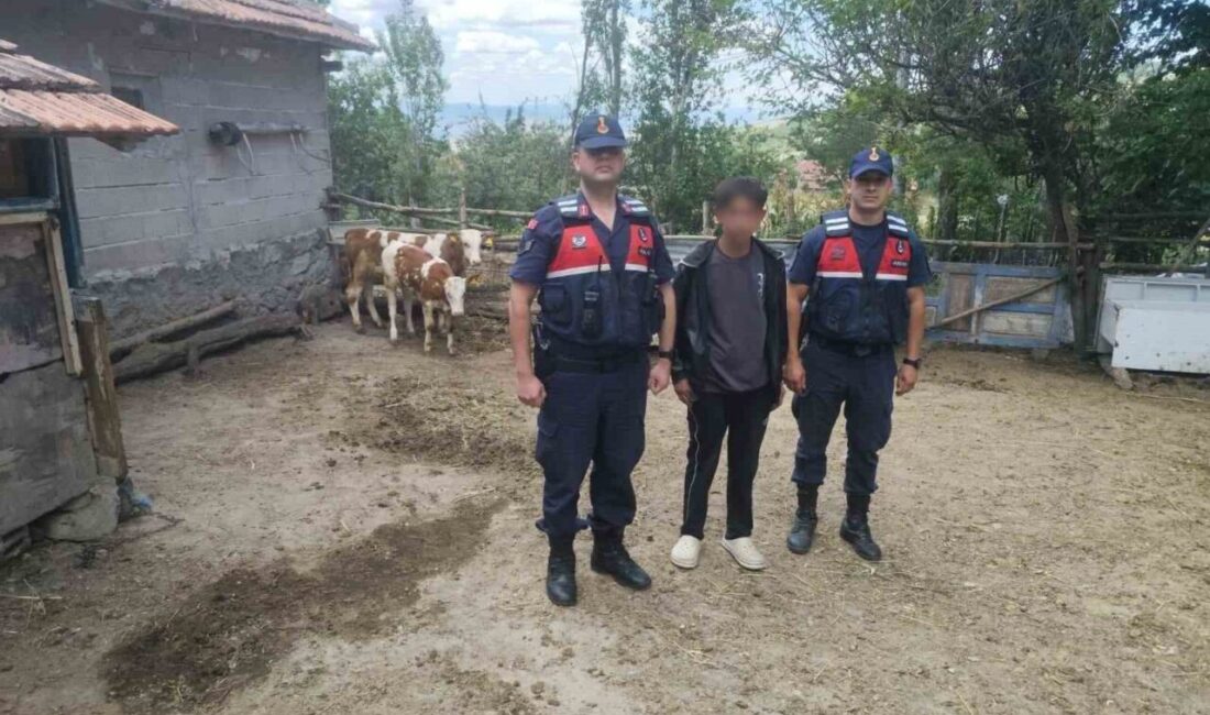 Yozgat’ta hayvanlarını kaybeden bir çiftçiye Jandarma ekipleri yardım etti. Kadışehri