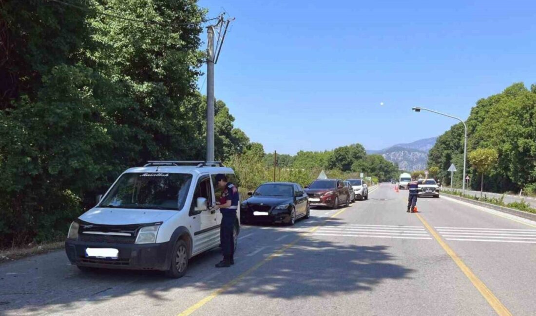 Muğla İl Jandarma Komutanlığı, Haziran ayında gerçekleştirdiği operasyonlarda farklı suçlardan