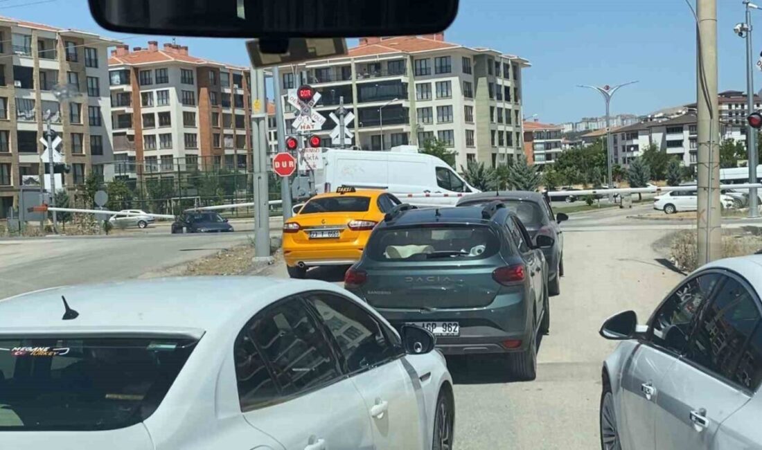 Elazığ’da, Sürsürü Mahallesi’nde yaşanan olayda, tren geçişine kapalı olan hemzemin