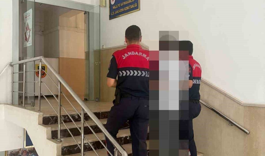 Şanlıurfa’da, hırsızlık suçundan aranan bir şahıs, jandarma ekipleri tarafından yakalandı.