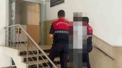 Şanlıurfa’da, hırsızlık suçundan aranan bir şahıs, jandarma ekipleri tarafından yakalandı.