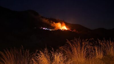 Marmaris’te Asparan Mevkii’nde meydana gelen yangınla ilgili yapılan soruşturma kapsamında,