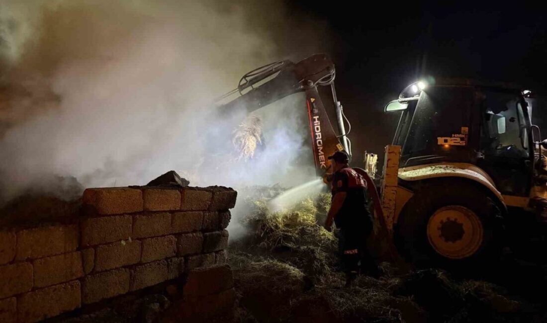 Iğdır’da 2 bin balyanın bulunduğu alanda başlayan yangına itfaiye ekipleri