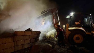 Iğdır’da 2 bin balyanın bulunduğu alanda başlayan yangına itfaiye ekipleri