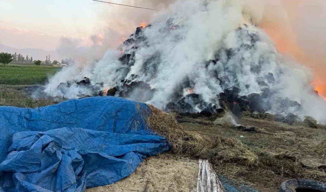 Iğdır’ın Evci köyünde meydana gelen yangında yaklaşık 6 bin balya