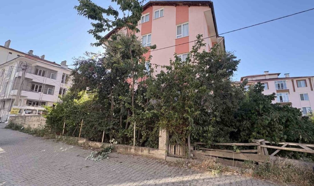 Tosya ilçesine bağlı Bahçelievler Mahallesi Cihan Sokak’ta bir emekli öğretmen,