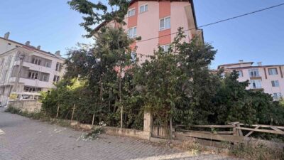 Tosya ilçesine bağlı Bahçelievler Mahallesi Cihan Sokak’ta bir emekli öğretmen,