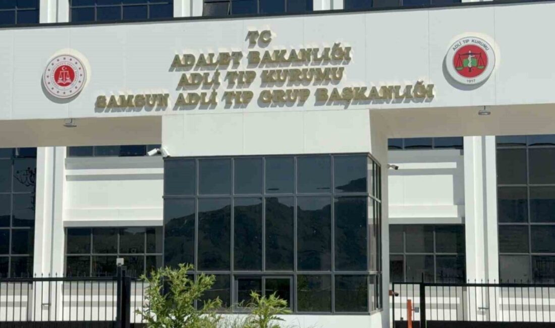 Samsun’un Terme ilçesinde yaşlı bir adam, ıhlamur toplamak için çıktığı