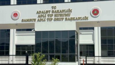 Samsun’un Terme ilçesinde yaşlı bir adam, ıhlamur toplamak için çıktığı