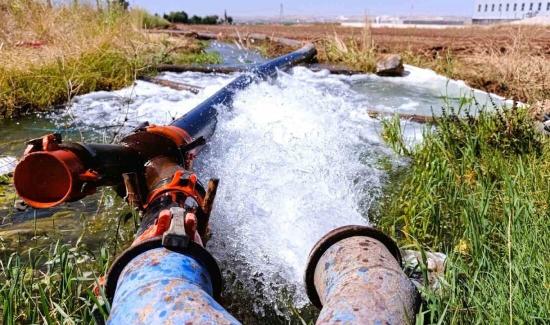 DEPSAŞ Enerji, Şanlıurfa’daki Cullap ve Tatarhöyük Sulama Birlikleri’ne yönelik enerji
