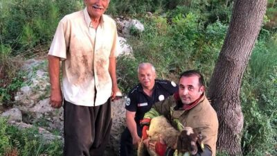 Hatay’ın İskenderun ilçesinde bir derede mahsur kalan koyun, hızla müdahale