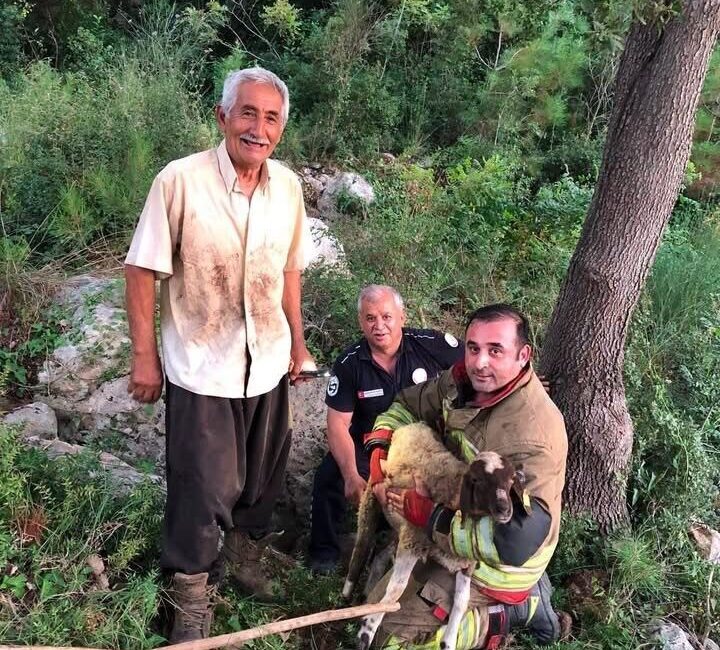 Hatay’ın İskenderun ilçesinde bir derede mahsur kalan koyun, hızla müdahale