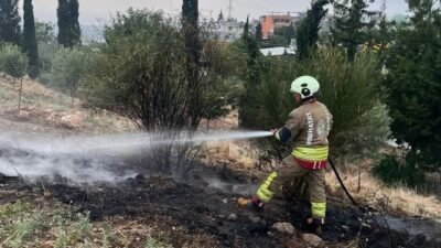 Hatay’ın İskenderun ilçesindeki ormanlık alanda çıkan yangın, itfaiye ekipleri tarafından