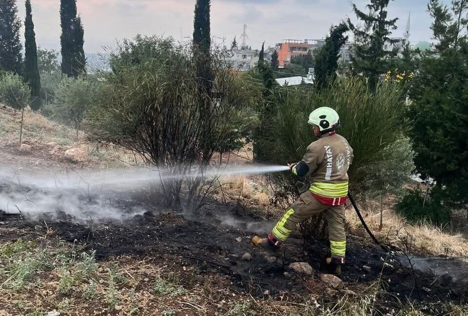 Hatay’ın İskenderun ilçesindeki ormanlık alanda çıkan yangın, itfaiye ekipleri tarafından