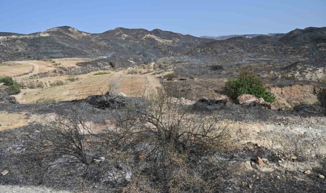 İspanya’nın Endülüs özerk bölgesinde Los Gallardos’a bağlı Almeria kentinde dün