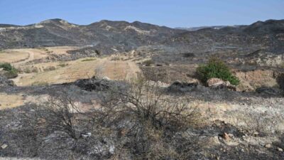 İspanya’nın Endülüs özerk bölgesinde Los Gallardos’a bağlı Almeria kentinde dün