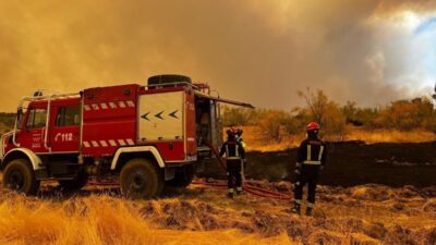İspanya’da Madrid’in yakınlarında ve Avila şehrinde devam eden orman yangınları