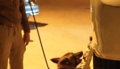 Isparta’da yapılan polis denetimleri sonucunda 25 aranan kişi gözaltına alınırken,