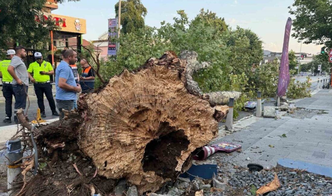 İstanbul’da meydana gelen şiddetli fırtına, şehrin çeşitli bölgelerinde önemli hasarlara