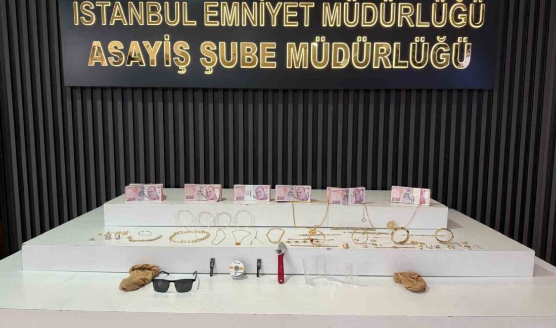 İstanbul’da evlere düzenledikleri hırsızlık operasyonları sonucunda nakit para, çek ve