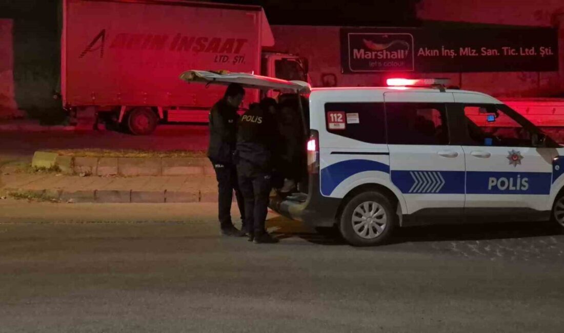 Eskişehir’de cezaevinden izinli olarak çıkan bir adamın annesini bıçakla kovalaması