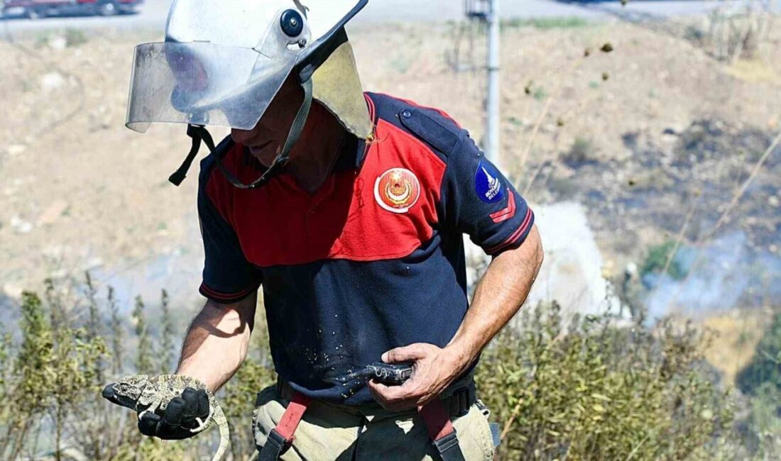 İzmir’in Bornova ilçesine bağlı Gökdere Mahallesi’nde meydana gelen orman yangınına