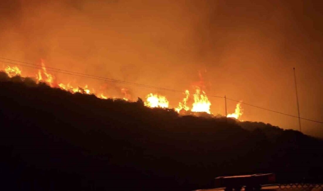 İzmir’in Dikili ilçesinde, Bademli Mahallesi yakınlarında bulunan makilik alanda bugün