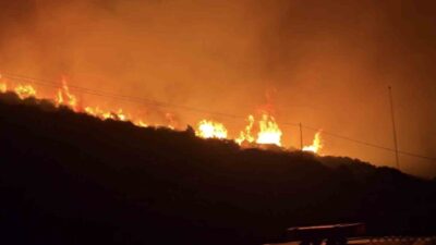 İzmir’in Dikili ilçesinde, Bademli Mahallesi yakınlarında bulunan makilik alanda bugün