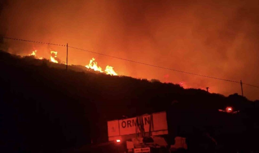Dikili ilçesindeki makilik alanda çıkan yangın, ekiplerin karadan başarılı şekilde