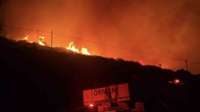 Dikili ilçesindeki makilik alanda çıkan yangın, ekiplerin karadan başarılı şekilde