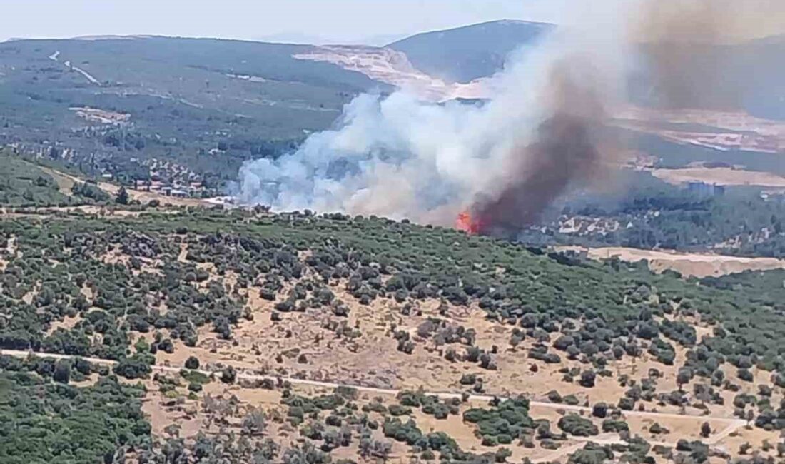 Bornova ilçesindeki ormanlık alanda çıkan yangına, hava ve karadan yapılan