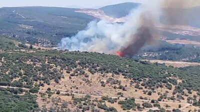 Bornova ilçesindeki ormanlık alanda çıkan yangına, hava ve karadan yapılan