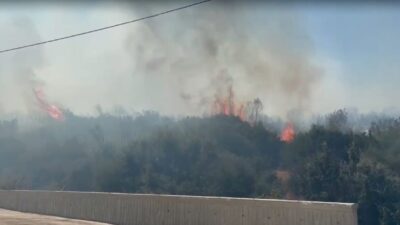 İzmir’in Torbalı ilçesindeki ormanlık alanda çıkan yangın, rüzgarın etkisiyle hızla