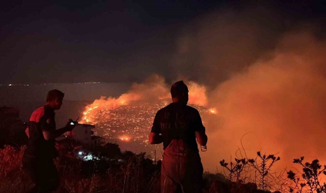 Balıkesir’in Gömeç ilçesinde başlayan orman yangını, şiddetli rüzgarın etkisiyle İzmir’in