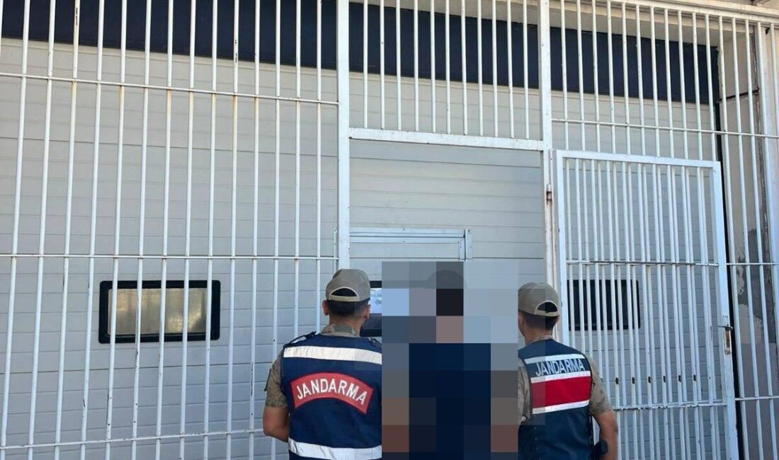 Şanlıurfa’nın Karaköprü ilçesinde, jandarma ekipleri tarafından yürütülen operasyonda, çeşitli suçlardan