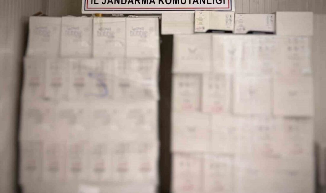 Antalya’da jandarma ekipleri tarafından gerçekleştirilen bir operasyonda büyük miktarda kaçak