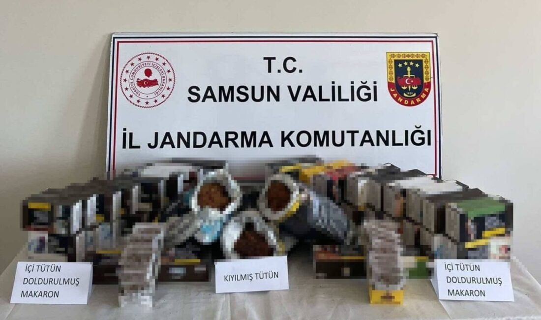 Samsun’un 19 Mayıs ilçesinde Jandarma ekipleri tarafından düzenlenen bir operasyonda