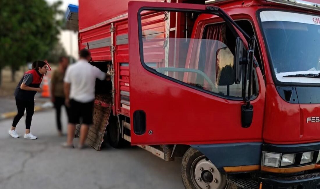 Kırklareli’nde kaçak hayvan taşıma suçundan şüphelenilen kişilere 175 bin lira