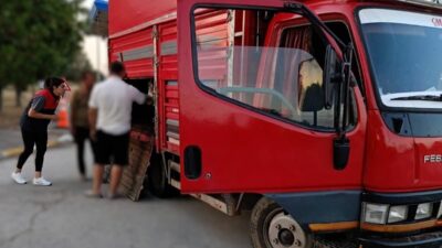 Kırklareli’nde kaçak hayvan taşıma suçundan şüphelenilen kişilere 175 bin lira