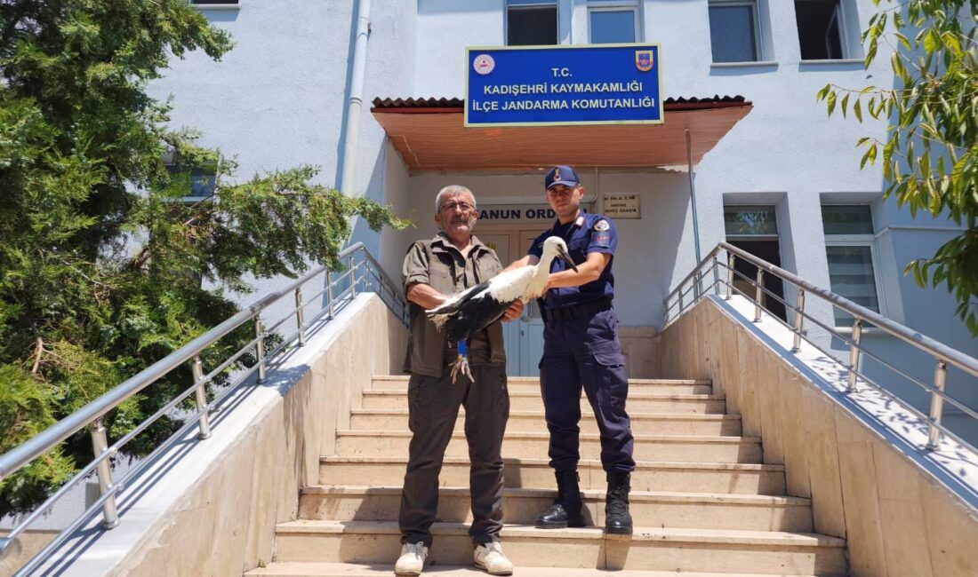 Yozgat İl Jandarma Komutanlığı ekipleri, sadece suç ve suçlularla mücadelede