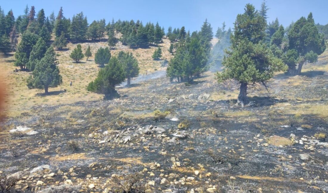 Kahramanmaraş’ta bugün meydana gelen orman yangınları, hızlı bir müdahale ile